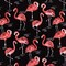 Black Pink Stain Resistant Performance Pet Friendly Novelty Print Upholstery Fabric by The Yard - SKU: Palm Springs Flamingo